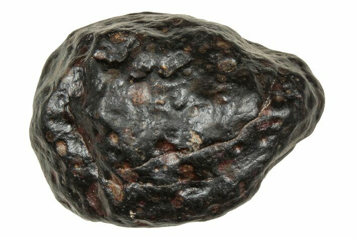 Carbonaceous Chondrite Meteorite ( g) - NWA #334359